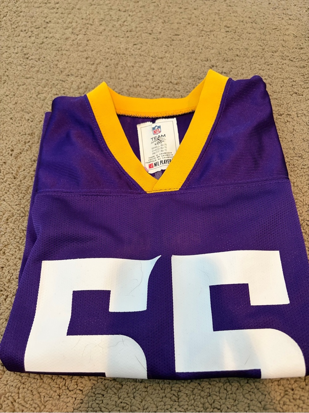NFL Purple and Gold Kids V-Neck Jersey